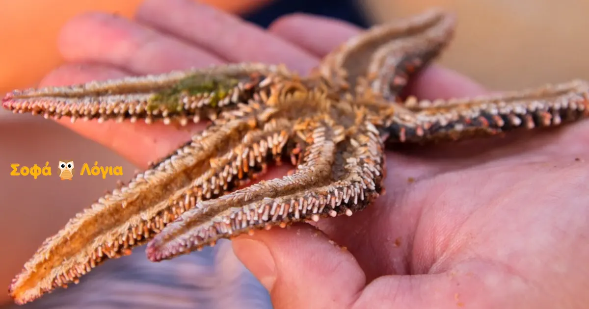 Η ιστορία του αστερία